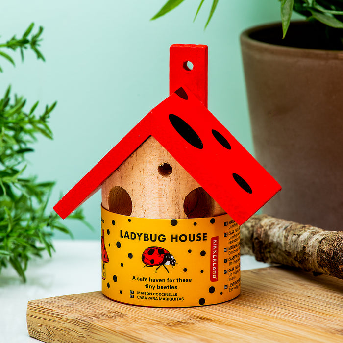 Little Ladybird House