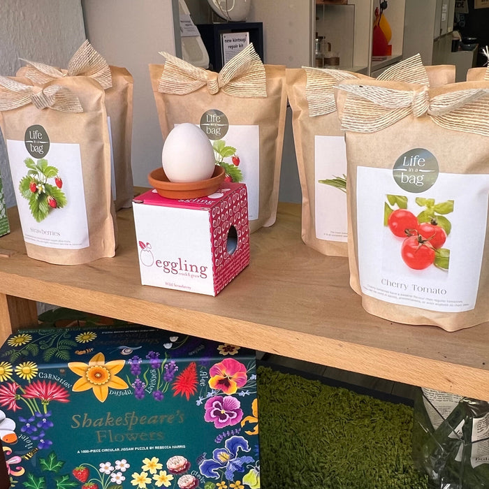 Spring garden and grow products at Designist