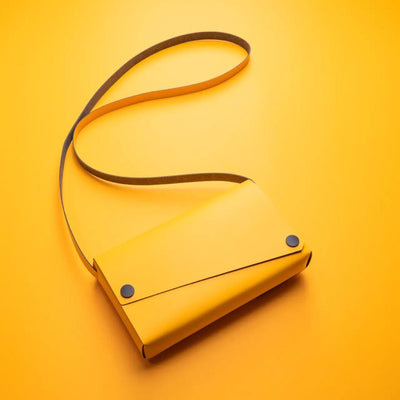 LEMUR: bold colors, bright ideas