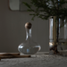 A clear glass decanter with a wooden stopper and a tall cylindrical glass vase with a gold band, holding a small evergreen tree, set on a textured tabletop in a dimly lit interior.