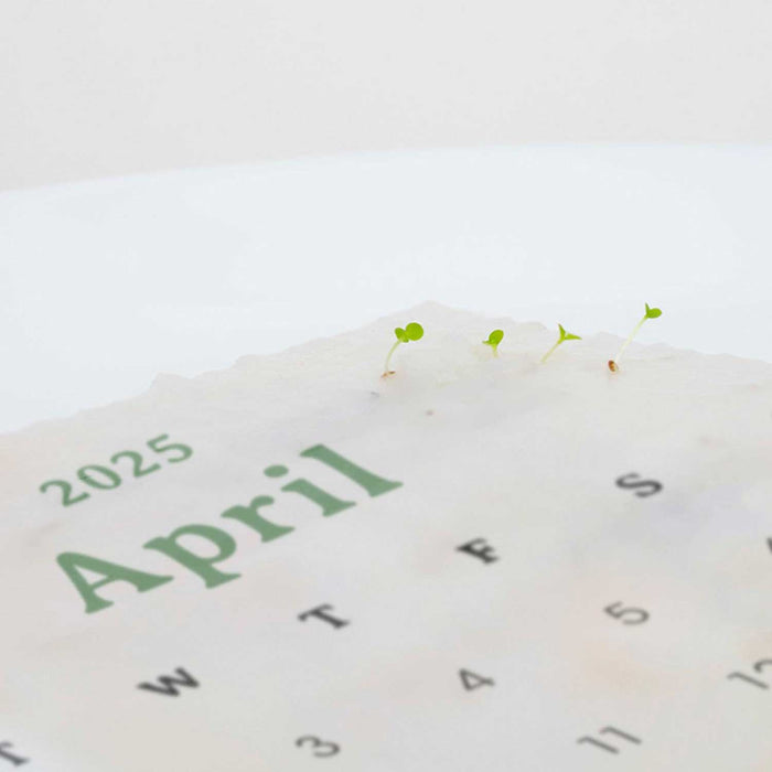 2025 Plantable Calendar