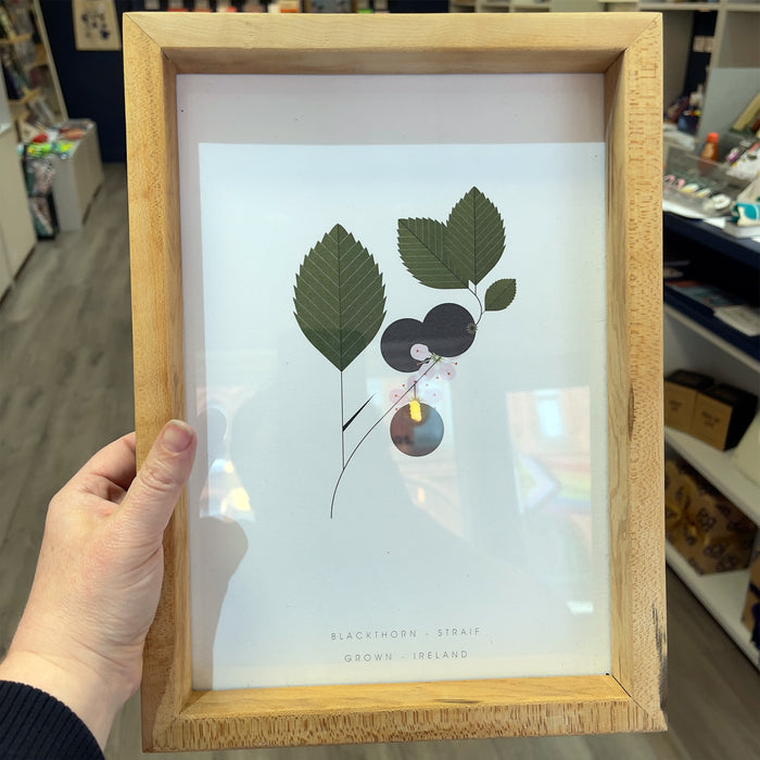 Grown Forest - A4 Artwork in reclaimed wood frame