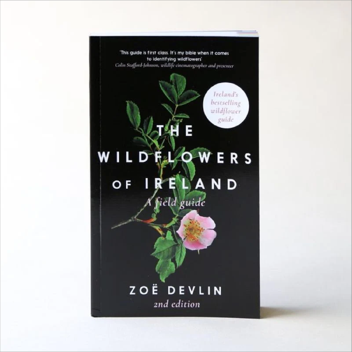 Wildflowers Of Ireland