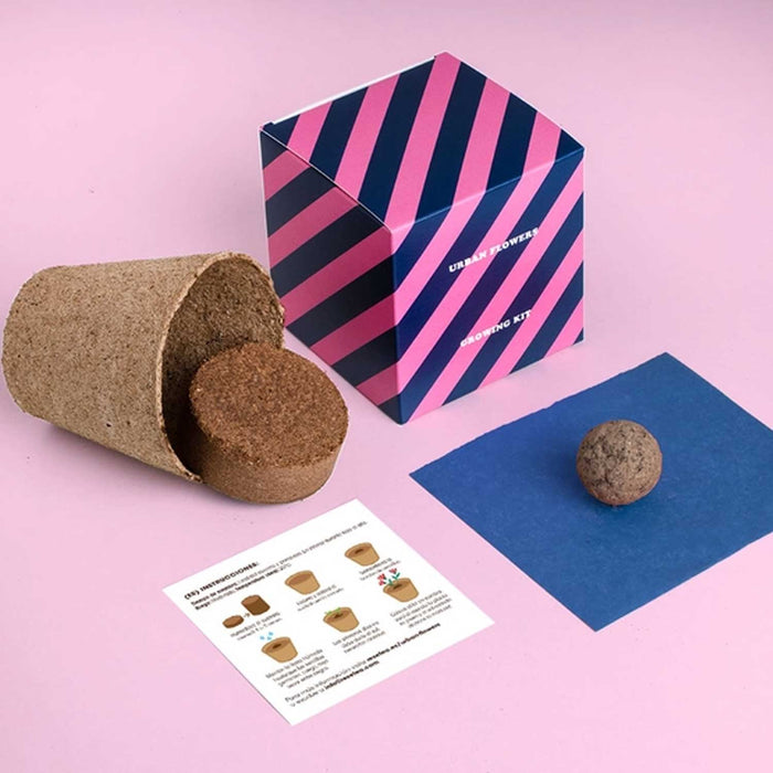 Blue Urban Flower Growing Kit