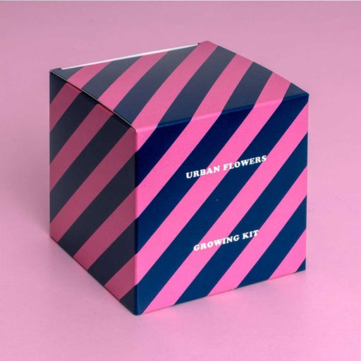 PINK AND BLUE DIAGONAL STRIPED SQUARE BOX