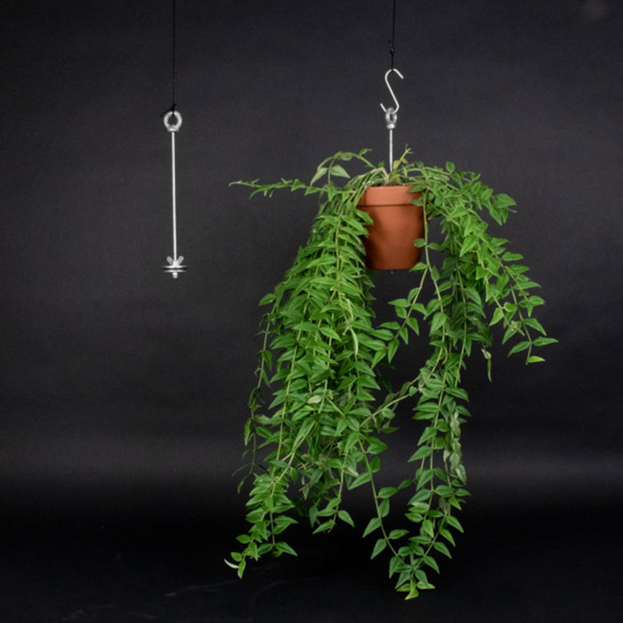Bolty - Hanging Planter System