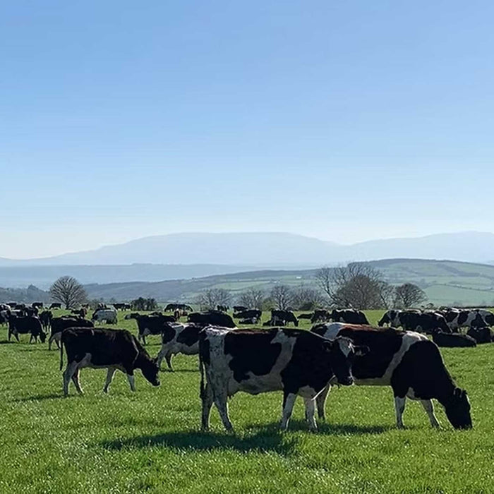 Bó Bar Soap - Pink Clay
