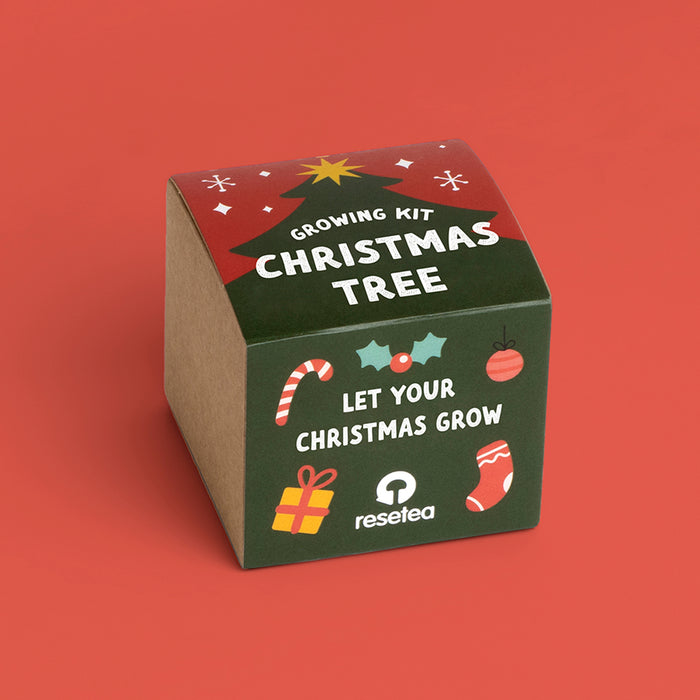 Grow Your Own Christmas Tree Kit