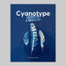 Cyanotype Learn in a Weekend blue book with 3 white and blue feathers on the cover