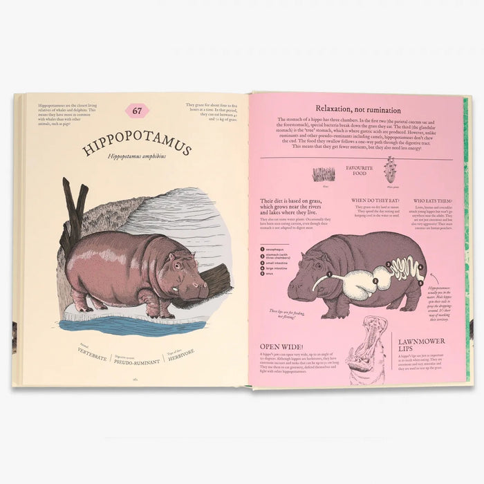 Eatopedia