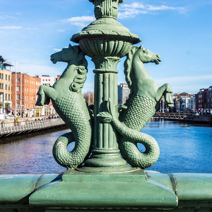 Grattan Bridge Kiss - Neil Dunne