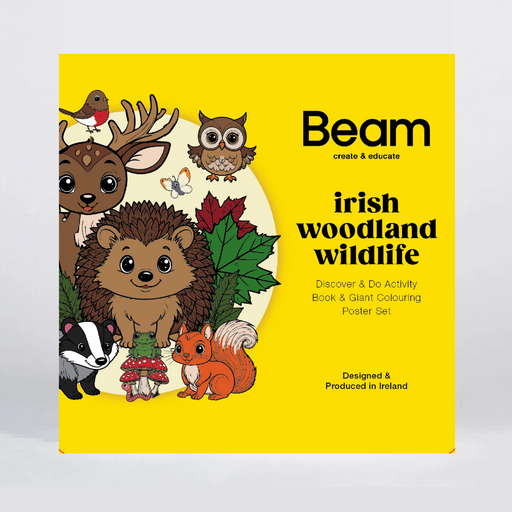 A bright yellow poster set cover titled 'Beam create & educate' and 'irish woodland wildlife' featuring cartoon illustrations of a deer, owl, hedgehog, badger, robin, squirrel, and mushroom on a light gray background.