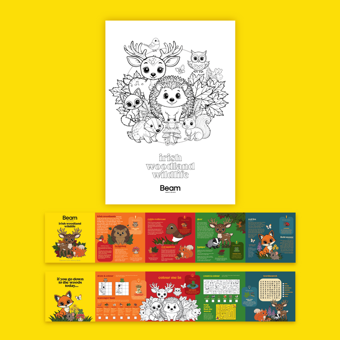 A set of children's activity cards featuring woodland animals, shown on a bright yellow background. The set includes a large black-and-white coloring page of hedgehogs and deer with the text 'Irish woodland animals' and the brand 'Beam', plus two smaller colorful activity sheets below with illustrated scenes and text blocks.