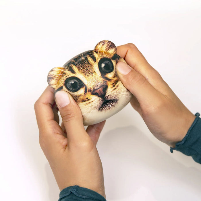 Feline Fine - Cat Stress Balls