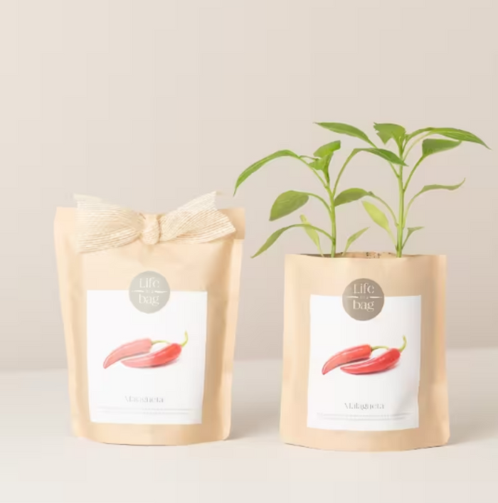 Grow Bag - Chili Peppers