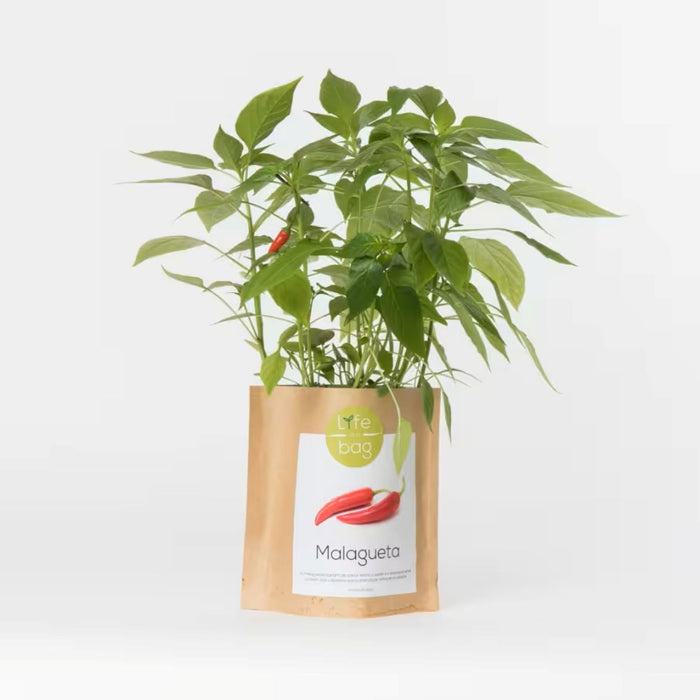 Grow Bag - Chili Peppers