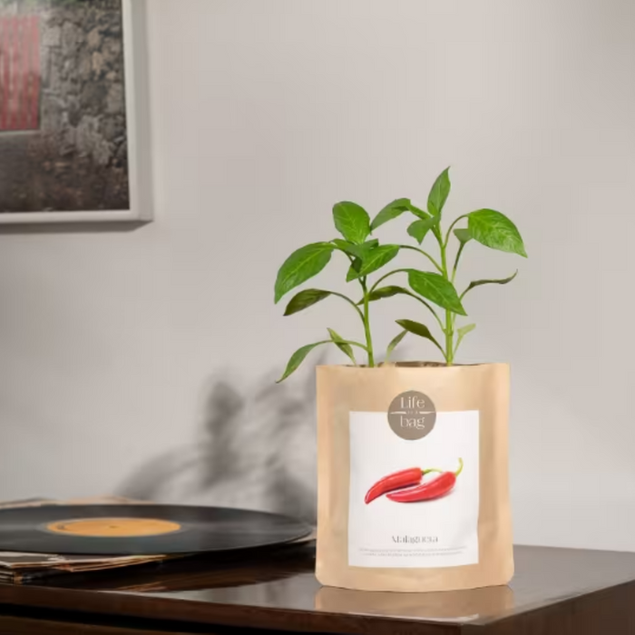 Grow Bag - Chili Peppers