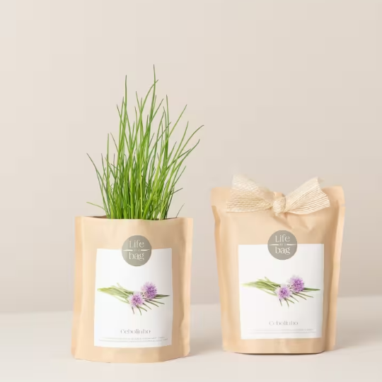 Grow Bag - Chives
