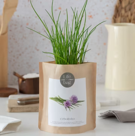 Grow Bag - Chives