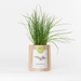 Grow Bag - Chives