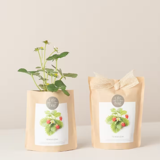 Grow Bag - Strawberries