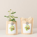 Grow Bag - Strawberries