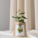 Grow Bag - Strawberries