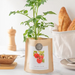 Grow Bag - Cherry Tomato