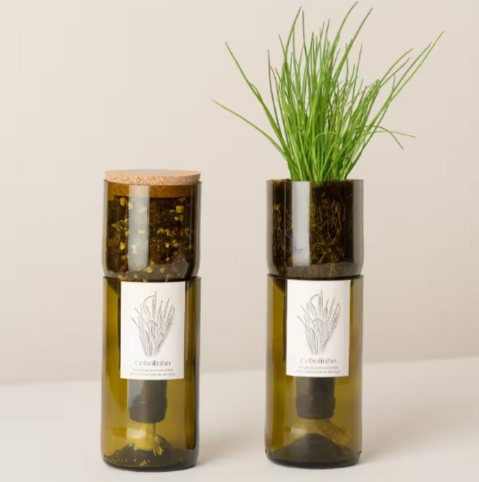 Grow Bottle - Chives