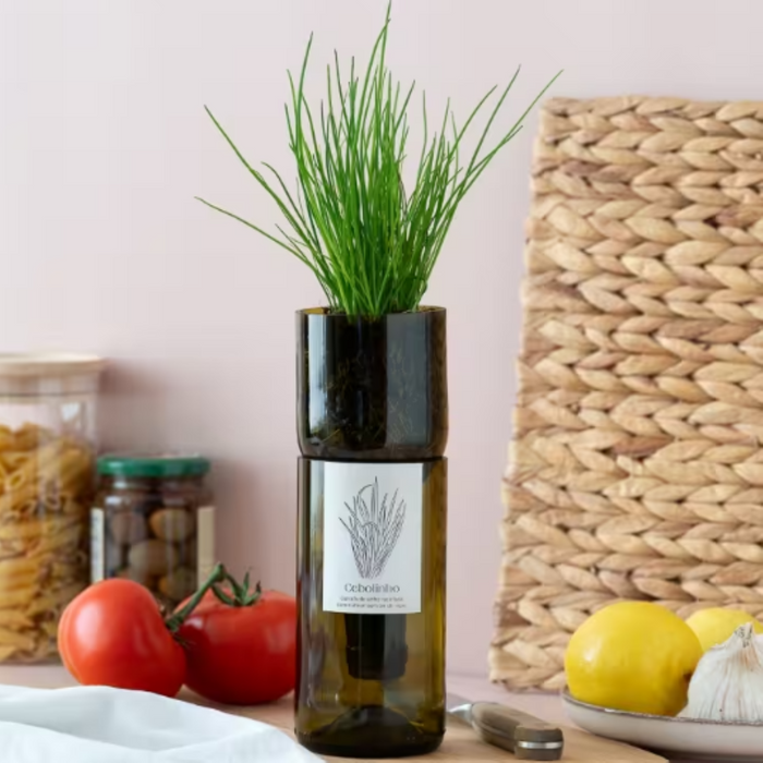Grow Bottle - Chives