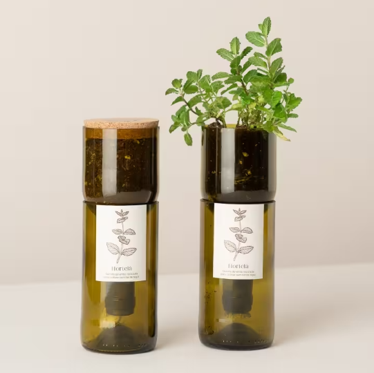 Grow Bottle - Mint
