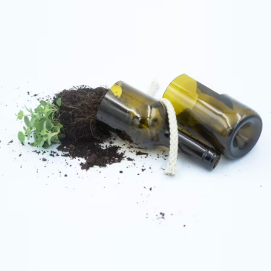 Grow Bottle - Oregano