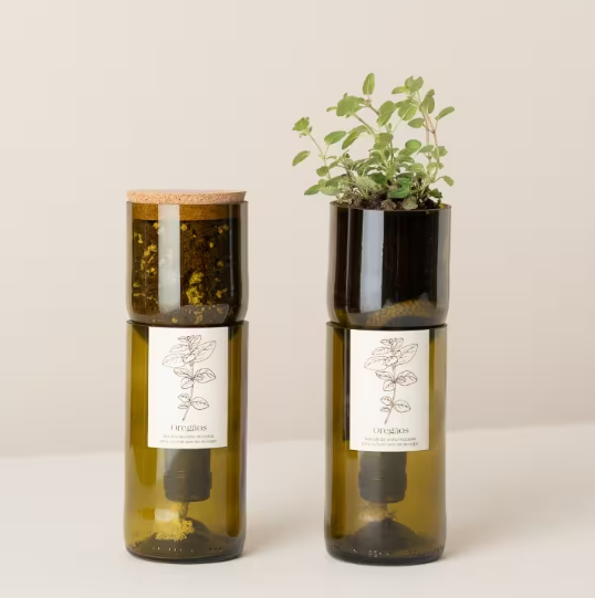 Grow Bottle - Oregano