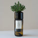 Grow Bottle - Thyme