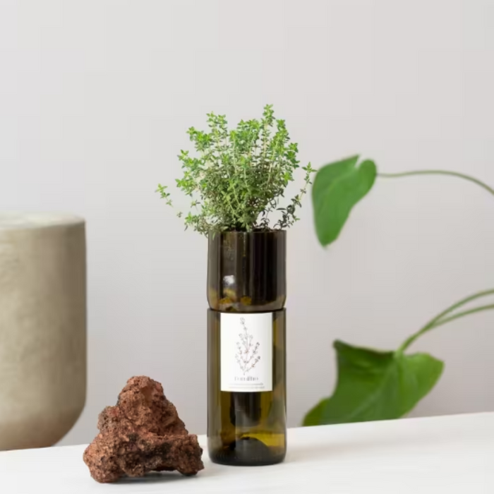 Grow Bottle - Thyme
