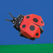 black cardboard model ladybird with red shell and six blck spots on a green and blue background