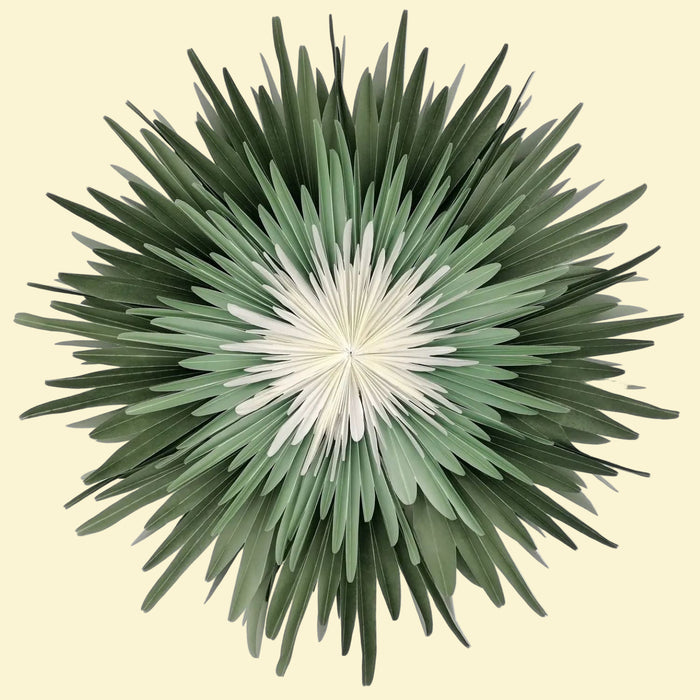 Stella Dalia Green-Mint and White Lightshade 60cm