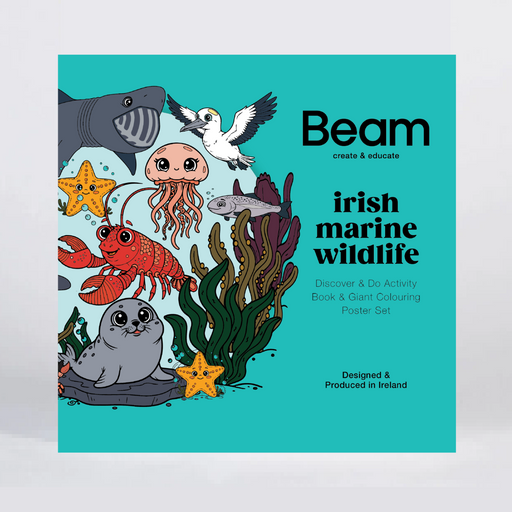 A square activity book cover titled 'Beam Irish Marine Wildlife' featuring colorful cartoon sea creatures like a lobster, octopus, seal, shark, and bird on a turquoise background, photographed against a light gray studio backdrop.