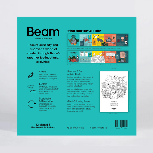 The back cover of the 'Beam' brand 'Irish Marine Whistle' activity book, featuring a bright teal background with product details, illustrations, and a barcode on a light gray studio background.