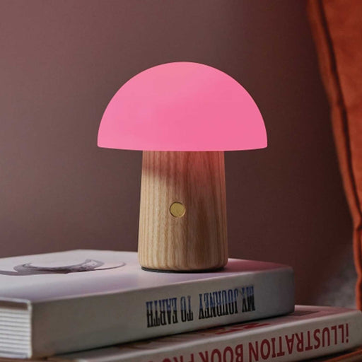 wooden stemmed mushroom light with golden button and plink plastic top on two books