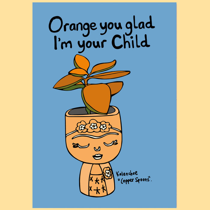 Orange You Glad...