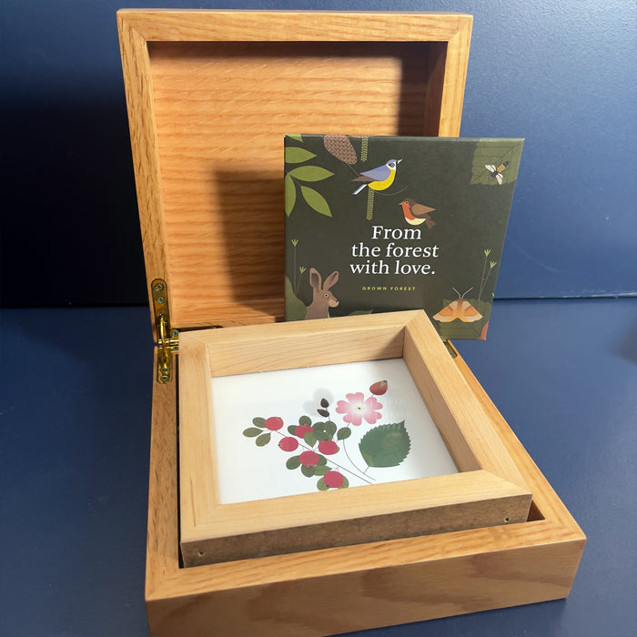 Gift a Tree - Oak Wood Box with Framed Artwork