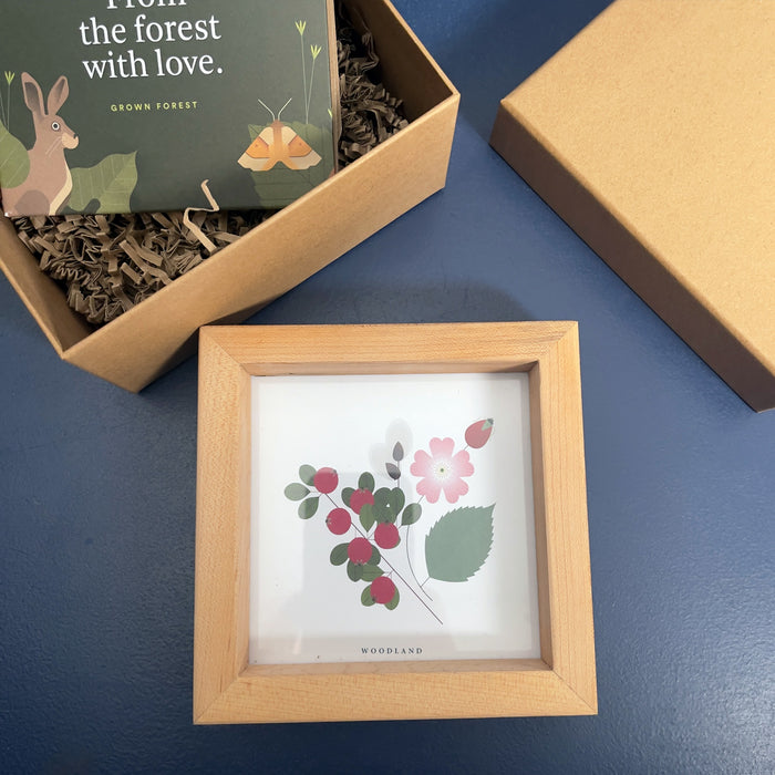 Gift of a Tree - Box with Framed Artwork