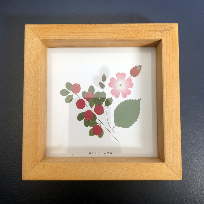 Gift of a Tree - Box with Framed Artwork