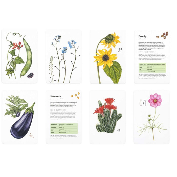 The Seed Collector's Kit