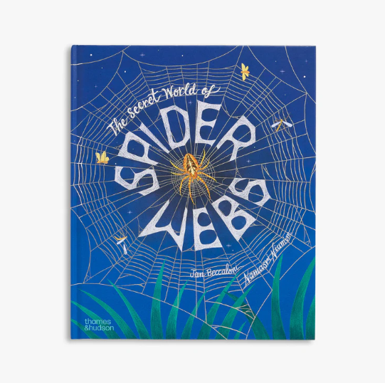 The Secret World Of Spider Webs