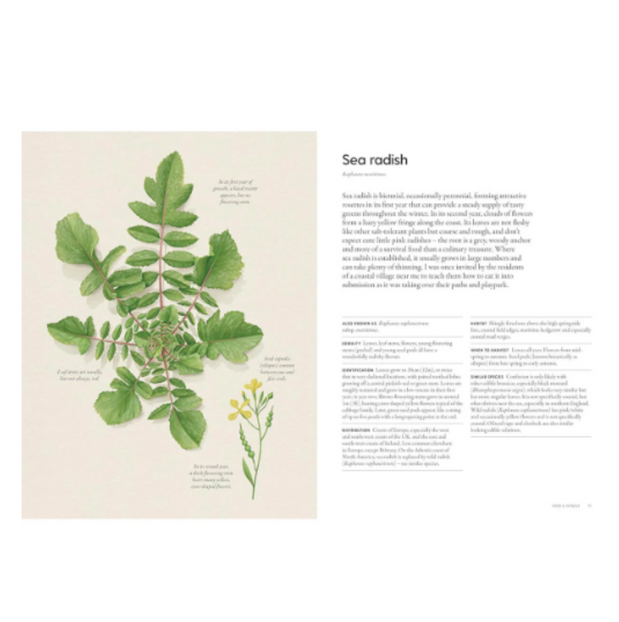 The Costal Forager