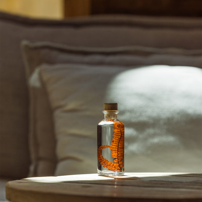 Preserved Plant - Red Felci Fern