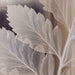 Preserved Plant - White Leather Fern