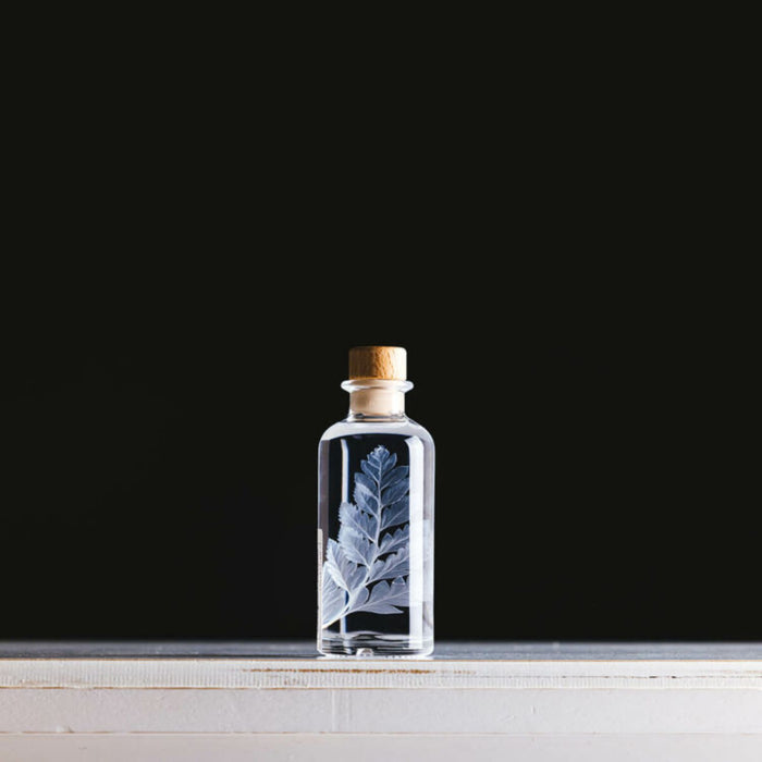 Preserved Plant - White Leather Fern